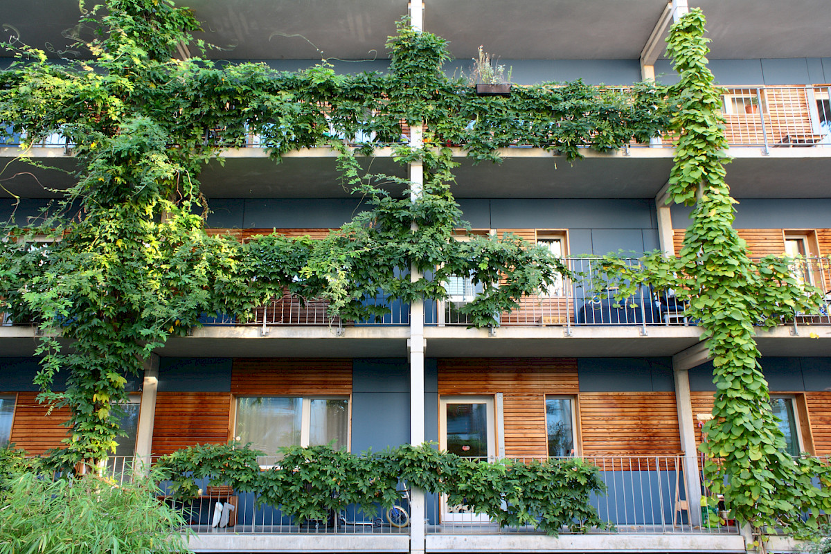 Fassade