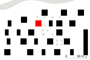 Schwarzplan